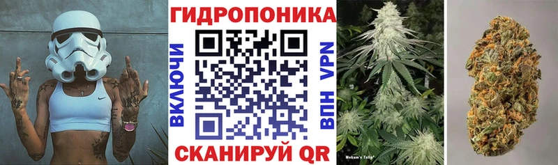 NBOMe Ленинградская