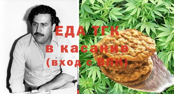 индика Семёнов