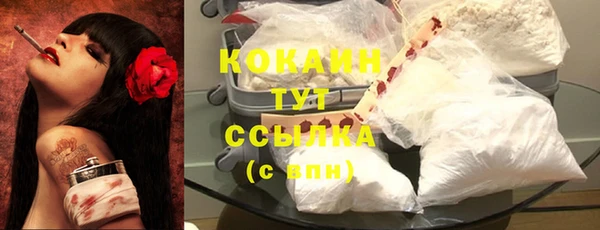 индика Семёнов