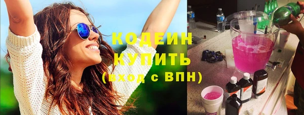 индика Семёнов
